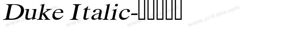 Duke Italic字体转换